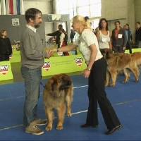 Salzburg Clubschau Mai 06 127 